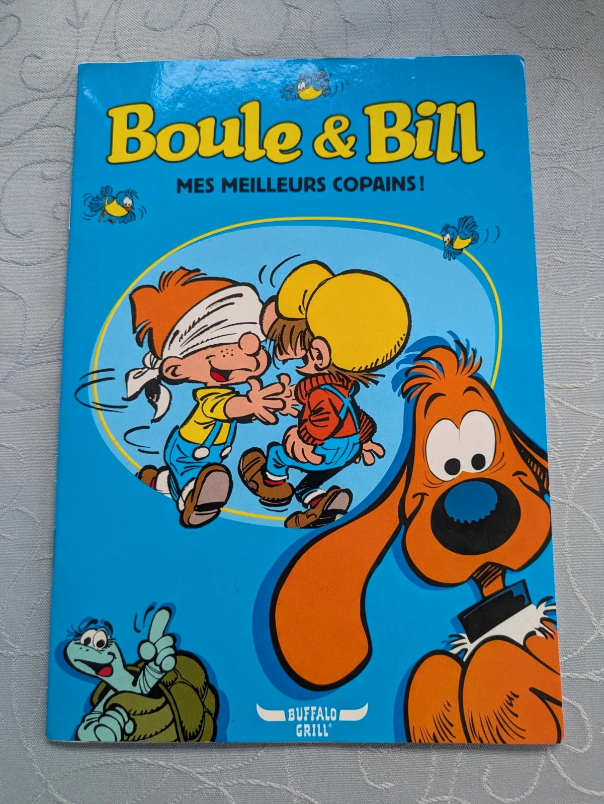Petit livre Boule & Bill